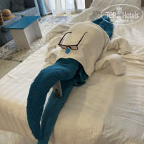 фото из отзыва ID 2703099