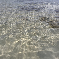 фото из отзыва ID 2703099