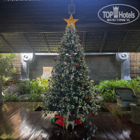 фото из отзыва ID 2703100