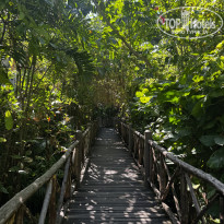 фото из отзыва ID 2703100