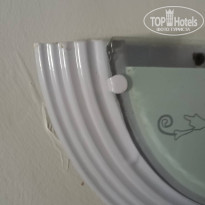 фото из отзыва ID 2703037