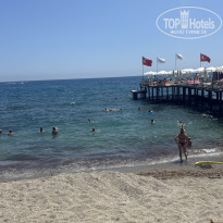 фото из отзыва ID 2703119