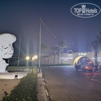 фото из отзыва ID 2703168