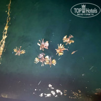 фото из отзыва ID 2703168