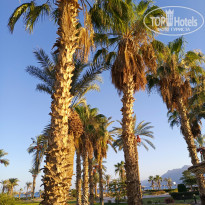 фото из отзыва ID 2703168