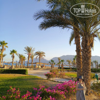 фото из отзыва ID 2703168