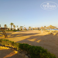 фото из отзыва ID 2703168