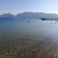 фото из отзыва ID 2703168