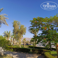 фото из отзыва ID 2703168