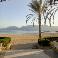 фото из отзыва ID 2703168