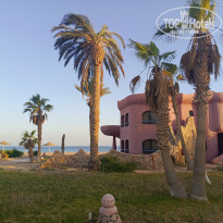 фото из отзыва ID 2703168