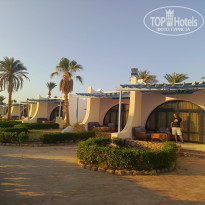 фото из отзыва ID 2703168