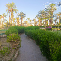 фото из отзыва ID 2703168