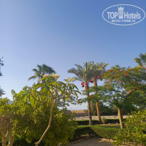 фото из отзыва ID 2703168