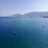 фото из отзыва ID 2703168