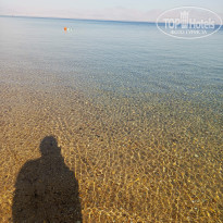 фото из отзыва ID 2703168