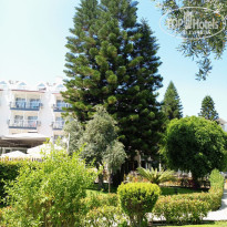 фото из отзыва ID 2703180