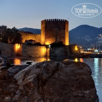 фото из отзыва ID 2703178