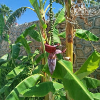 фото из отзыва ID 2703178