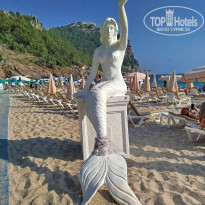 фото из отзыва ID 2703178