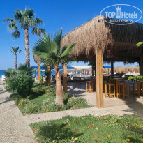 фото из отзыва ID 2703195