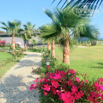 фото из отзыва ID 2703195