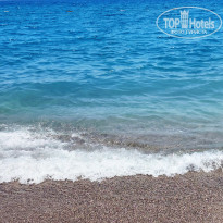 фото из отзыва ID 2703195