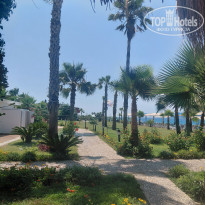 фото из отзыва ID 2703195