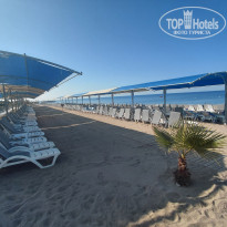 фото из отзыва ID 2703195