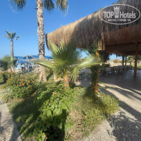 фото из отзыва ID 2703195