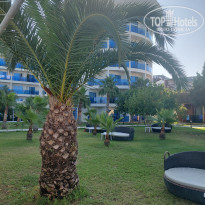 фото из отзыва ID 2703195