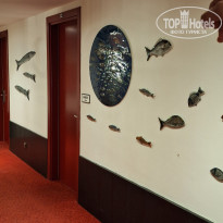 фото из отзыва ID 2703216