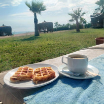 фото из отзыва ID 2703195