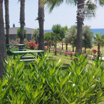 фото из отзыва ID 2703195