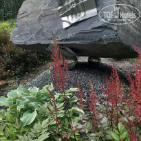 фото из отзыва ID 2703249