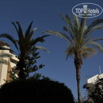 фото из отзыва ID 2703255