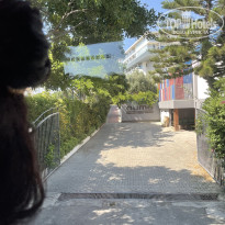 фото из отзыва ID 2703263