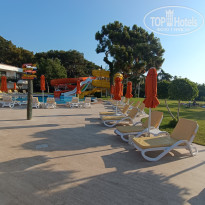 фото из отзыва ID 2703271