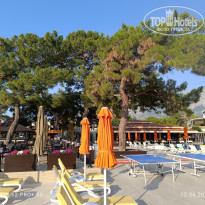 фото из отзыва ID 2703271