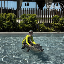 фото из отзыва ID 2703307