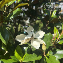 фото из отзыва ID 2703307