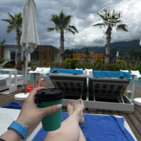 фото из отзыва ID 2703307