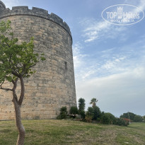 фото из отзыва ID 2703303