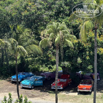 фото из отзыва ID 2703303