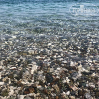 фото из отзыва ID 2703318