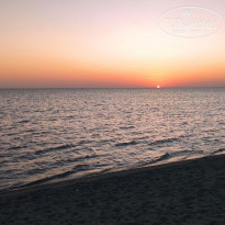 фото из отзыва ID 2703288