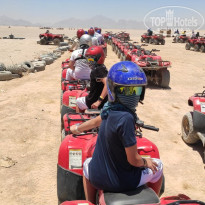 фото из отзыва ID 2703288