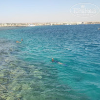 фото из отзыва ID 2703288