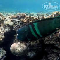 фото из отзыва ID 2702440