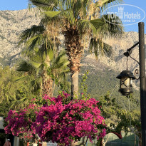 фото из отзыва ID 2703321